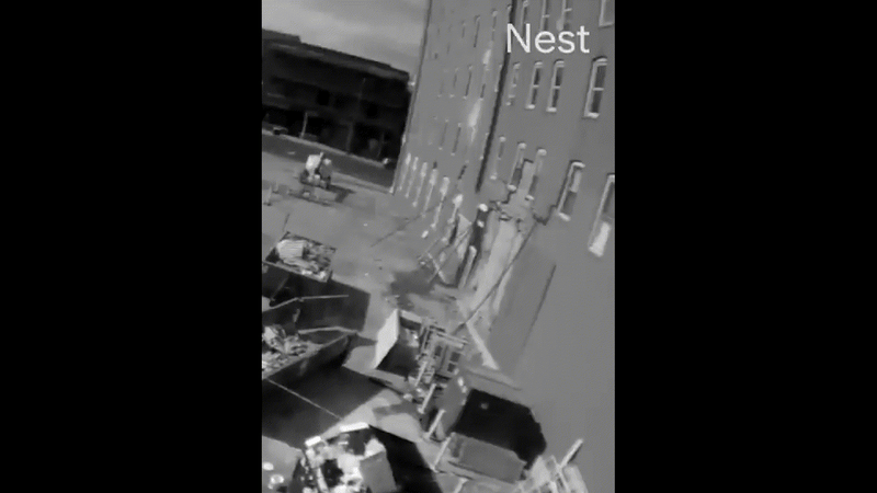 NEST_s4s2dn.gif