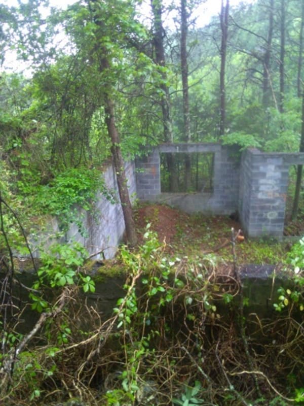 structure_interior_tvbisc.jpg