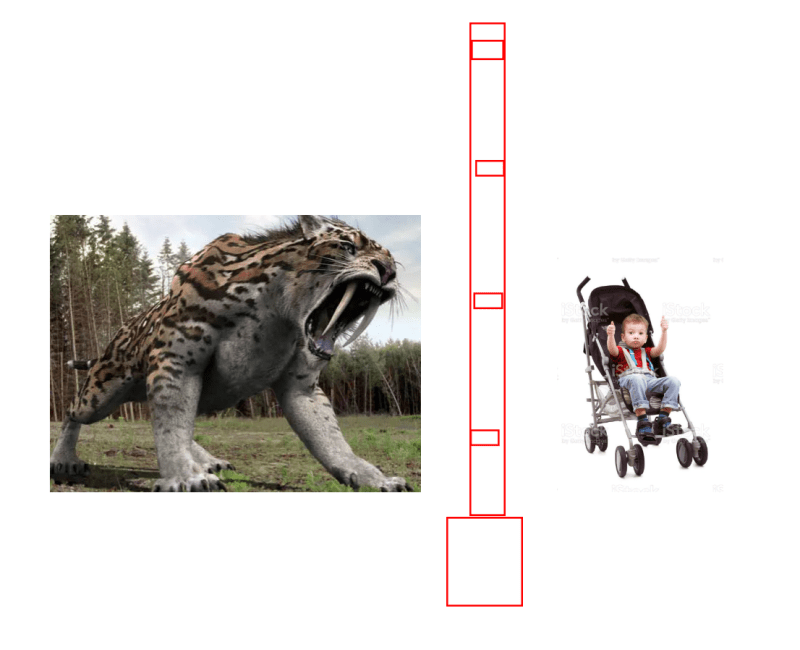 c02_p1jdan.png