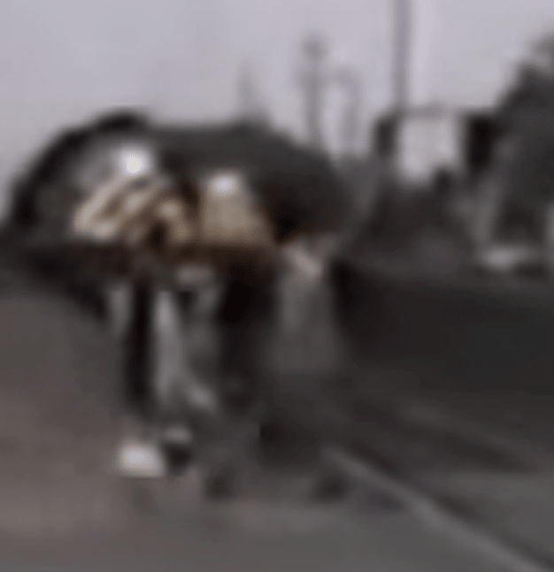 train_xygoto.png