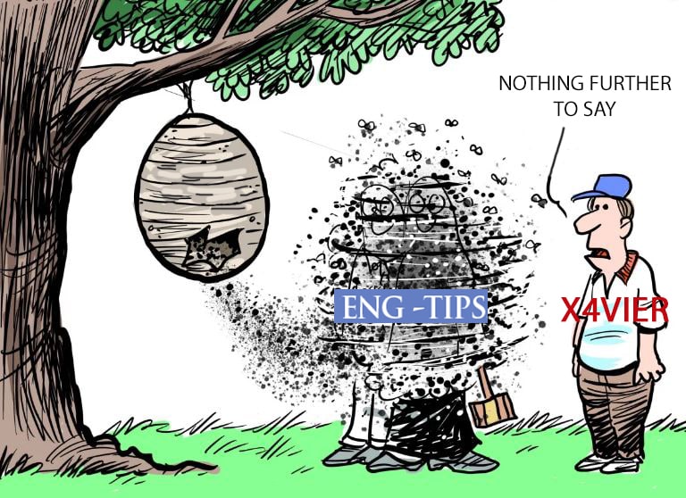 ET_Hornets2_udjyro.jpg