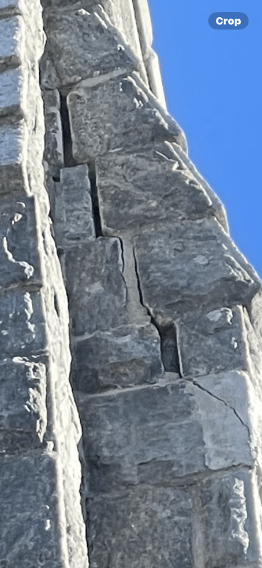 IMG_0716_niblfy.png