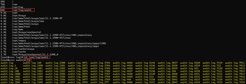 2024-03-25_11-18-16_j91ppu.png