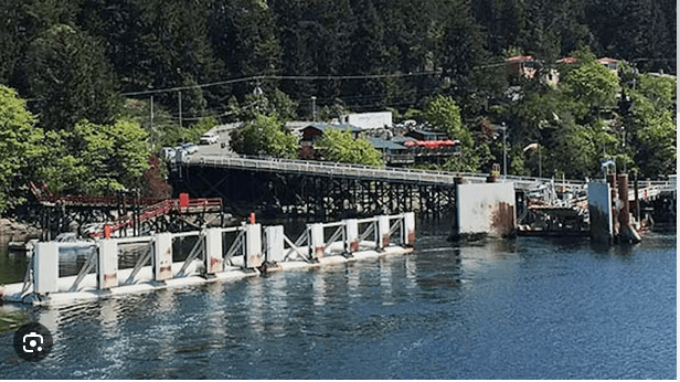 Screenshot_2024-03-28_at_07-20-29_bc_ferry_terminals_-_Google_Search_nslhss.png