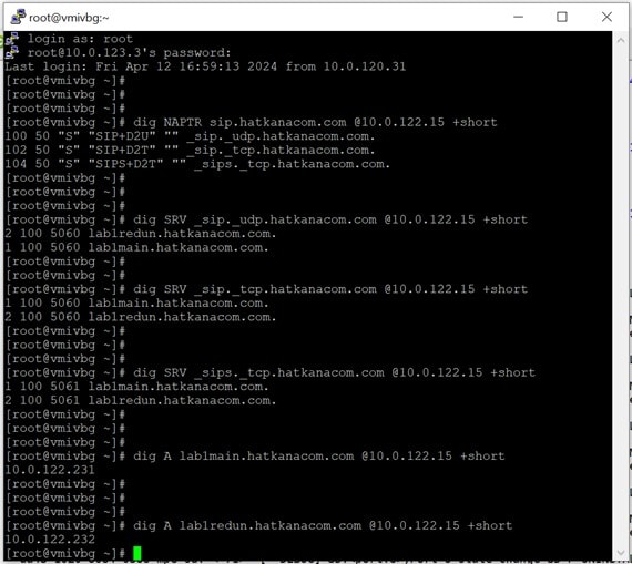 dns_tcv9pm.jpg