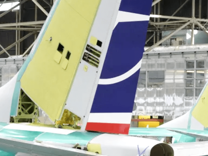 tail.02_ejp2v5.png