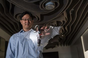 Soon-Jo Chung, associate professor of aerospace and Bren Scholar at Caltech, holds the Bat Bot. (Image courtesy of Caltech.)