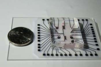 This device costs one cent to make and could help deliver critical diagnostic care to remote, impoverished areas of the globe. (Image courtesy of Stanford.)