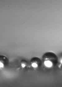 When water droplets merge on a super-hydrophobic surface, they naturally jump away due to energy released from the reduction in overall surface area. (Image courtesy of Chuan-Hua Chen/Duke University.)