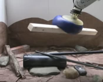 The soft jamming robotic gripper is capable of picking up irregularly shaped objects easily. (Image courtesy of Jaeger Lab/University of Chicago.)