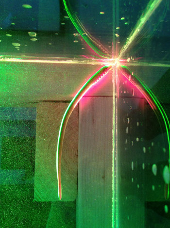 Lamprey swimming in the corner of a water tank is illuminated by green and red lasers. Reflections in the corner of the water tank give the appearance of multiple lampreys. (Image courtesy of Stanford/Sean Colin.)