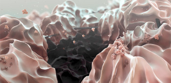 The team's paper discusses the benefits of a graphene electrode (black) and the production of lithium hydroxide particles (pink) as a lithium-air battery discharges. (Image courtesy of University of Cambridge/T. Liu et al.)