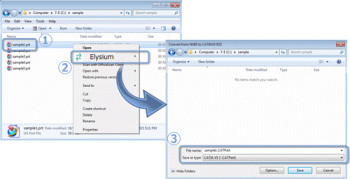 ASFALIS direct translator interface.