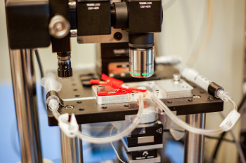 Close-up of microscope shows tubes that inject various liquids into the imaging environment. (Image courtesy of Jose-Luis Olivares/MIT)