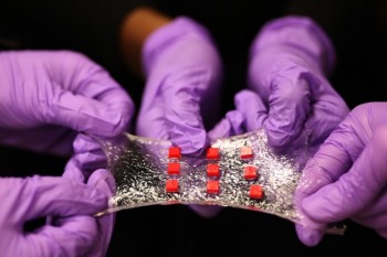 A sheet of hydrogel is bonded to a matrix of polymer islands (red) that can encapsulate electronic components such as semiconductor chips, LED lights, and temperature sensors. (Image courtesy of Melanie Gonick/MIT.)