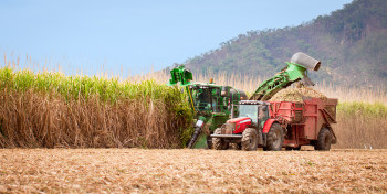 With the introduction of biomass generators, Cuba plans to start farming