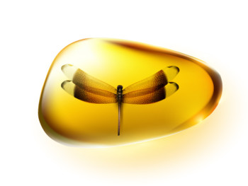 Dragonfly trapped in amber.