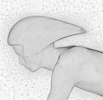 Section of a 12 million cell hybrid mesh. Image courtesy of Image courtesy of Eindhoven University of Technology