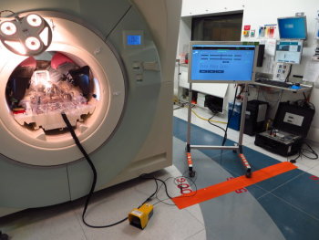 Inside an MRI scanner, a plastic and ceramic robot works on a prostate. Image courtesy Gregory Fischer/WPI.