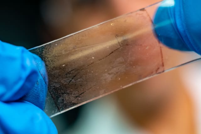 The lab employs thiol-ene molecules that infiltrate the polymer and form a mesh that makes the material stretchable without losing efficiency. (Image courtesy of Rice University/Jeff Fitlow.)