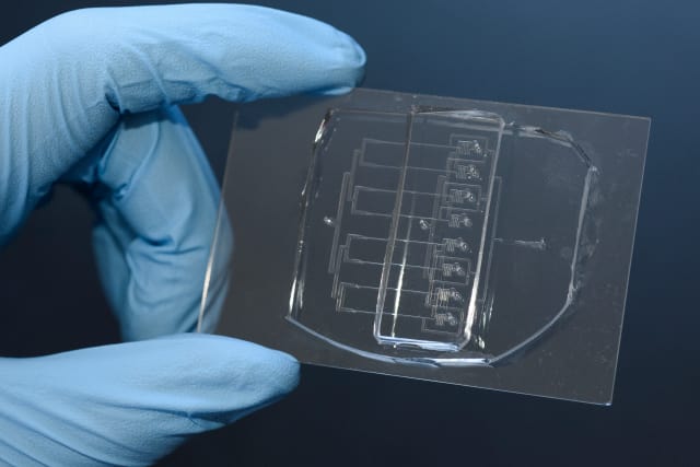 This eight-channel version of their tool can cut cells over 200 times faster than conventional methods. (Image courtesy of L.A. Cicero/Stanford News Service.)