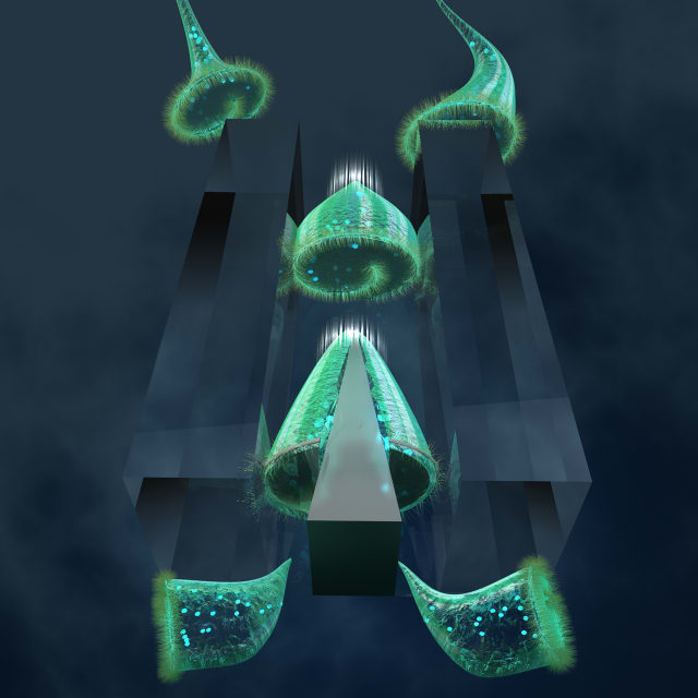 Artist's rendering of Stentor being cut by the microfluidic guillotine. (Image courtesy of Ella Maru Studio.)