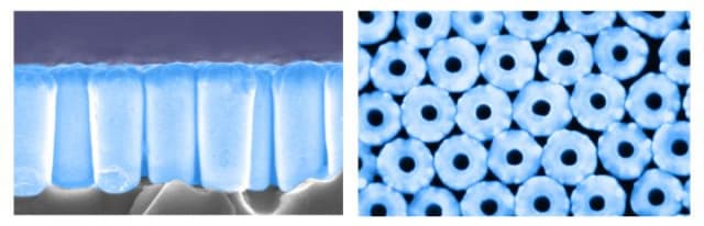 These are SEM images of a nanotube array: side view (left) and top view (right). (Image courtesy of UC San Diego Jacobs School of Engineering.)