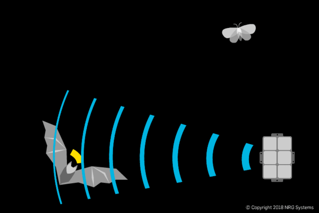 The deterrent system creates constant ultrasonic noise at the same frequency as the bat call, jamming the bat’s ability to hear its return echo. (GIF courtesy of NRG Systems.)