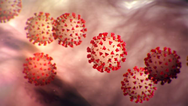 What the Coronavirus looks like—sort of. The growths that fringe the Coronavirus give the COVID-19 virus its popular name. While the intricate and regular geometry is displayed in all its deadly glory, the color is not to be believed. Viruses are smaller than the wavelengths of visible light so color, as we know it, does not exist at their scale.