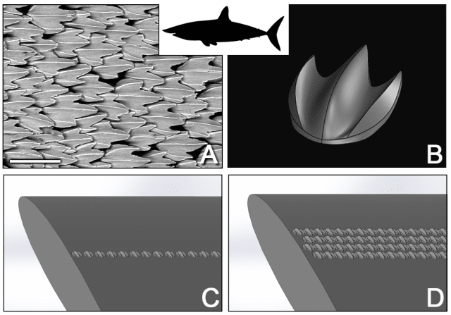 Environmental scanning electron microscope image of denticles from the shortfin mako shark (a) and (its corresponding parametric 3D model (b). These denticles were arranged in a wide range of different configurations on an aerofoil, two examples of which are shown here (c,d ). (Image courtesy of Harvard University)