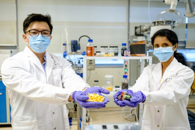 (Image courtesy of Nanyang Technological University Singapore.)