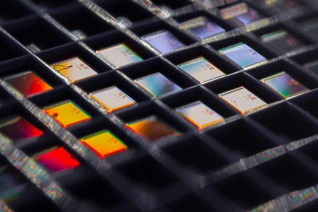 An array of the temperature sensor chips. (Image courtesy of David Baillot/UC San Diego Jacobs School of Engineering.)