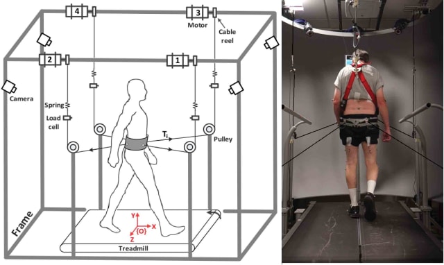 Schematic of Columbia Engineering's robot-driven Tethered Pelvic Assist Device with a subject using the TPAD training method to improve stability in Parkinson's disease patients while walking. (Image courtesy of Sunil Agrawal/Columbia Engineering.)
