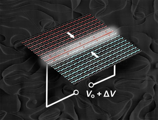 Working towards rewritable nanoscale wires, researchers controlled electrical conductivity in 2-D ferroelectric domain walls by applying a voltage (V). The domain walls behaved like an electric switch. The charges responsible for this behavior were localized to within a few atom widths (a nanometer) of the domain walls, the barriers between regions with different electronic properties, in erbium manganite. In the atomic-resolution electron microscopy image, the positive (red) and negative (blue) polarizations come together in the white region. This polarity mismatch forms a positively charged (head-to-head) domain wall. Applying a voltage added more charge carriers to the domain wall, switching the conductivity of the channel. (Image courtesy of Megan Holtz, Dennis Meier and Emily Falco.)