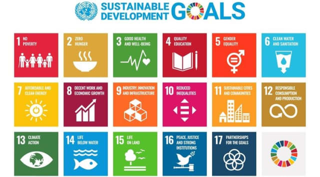 VYVE projects follow the United Nations Sustainable Development Goals. (Image courtesy of VYVE.)