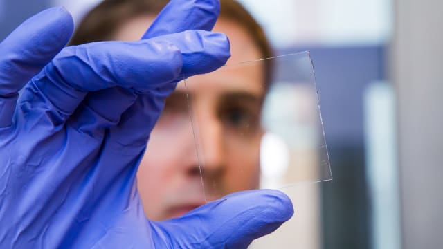 Graduate student Nicholas Davy holds a sample of the special window glass. (Image courtesy of David Kelly Crow.)
