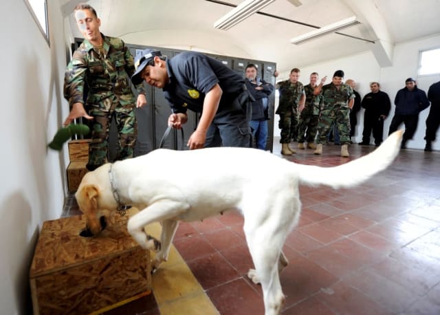 Take a break Fido, we’ve got it from here!