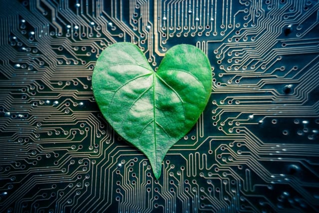 Engineers have designed a microfluidic device they call a “tree-on-a-chip,” which mimics the pumping mechanism of trees and other plants. (Image courtesy of MIT.)