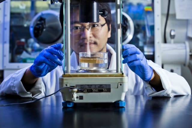 This is the solar steam device being tested in the Hu Lab. (Image courtesy of University of Maryland.)