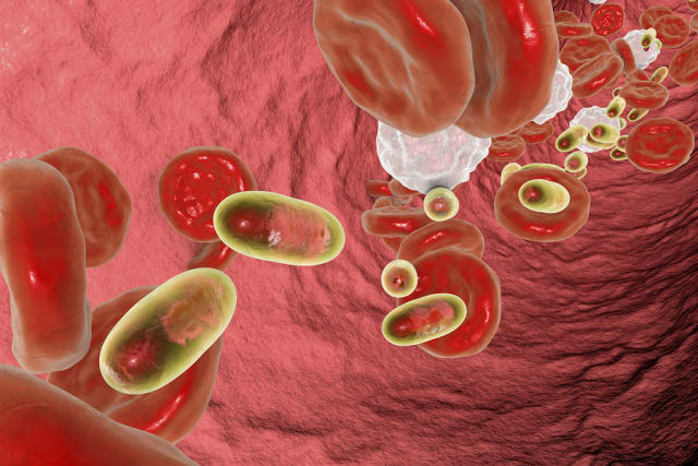 Artist’s conception of nanoscale drug delivery using nanoparticles encapsulated in materials designed to protect the drug compounds from degradation while travelling to the site of treatment.