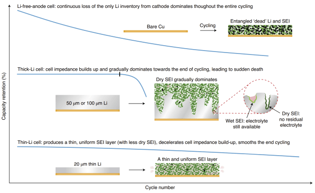 Illustration of the capacity retention of cells with different anode thicknesses, and the role of the SEI in cell death. (Source: Nature Energy/Niu et al.)