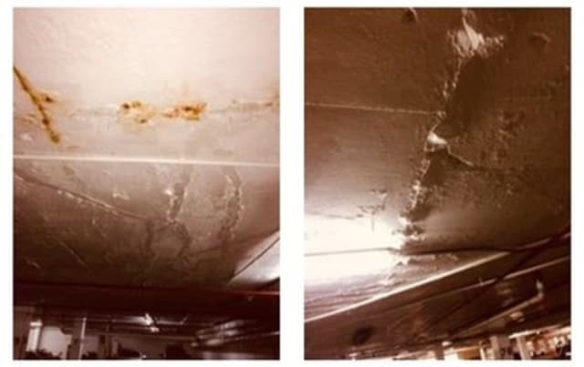 Pictures from Morabito report.