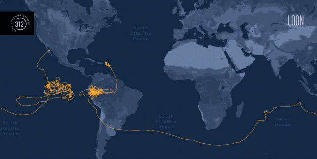 Loon’s record-breaking flight path. (Image courtesy of Loon.)
