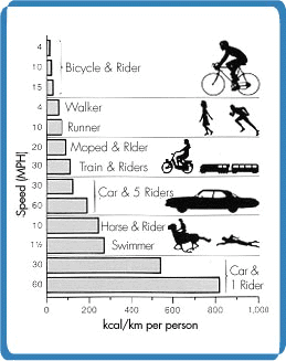 A comparison of the energy cost of various forms of transportation shows that the bicycle is most energy-efficient. (Picture courtesy of Exploratorium.)