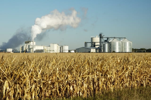 Green energy? How green is chipping every tree in sight for fuel? So asks Michael Moore’s Planet of the Humans. An ethanol plant in South Dakota. (Stock photo).