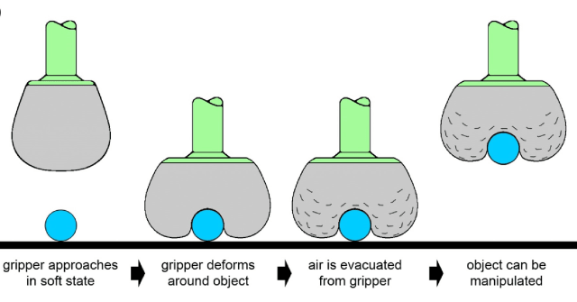 Soft robotic gripper conforming around an object to pick it up. (Image courtesy of Jaeger Lab/University of Chicago.)