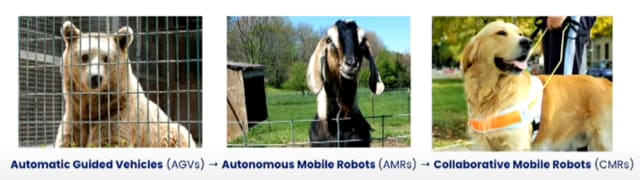 (Source: Robust.AI.)