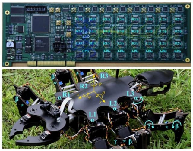 Circuit of the two-level controller (top) that makes the insect-like movements of the new robot (bottom) possible. (Image courtesy of IEEE and the Tokyo Institute of Technology.)