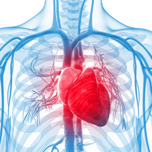 Alexa may soon be able to “hear” if its owners’ hearts stop beating. Image credit: Health24.