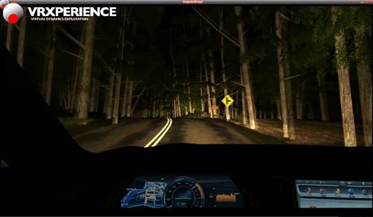 Figure 2. VRXPERIENCE night driving simulation. (Image courtesy of ANSYS.)